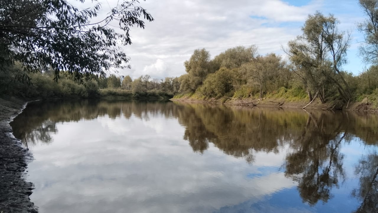 В Омской области ожидаются заморозки до -5 градусов