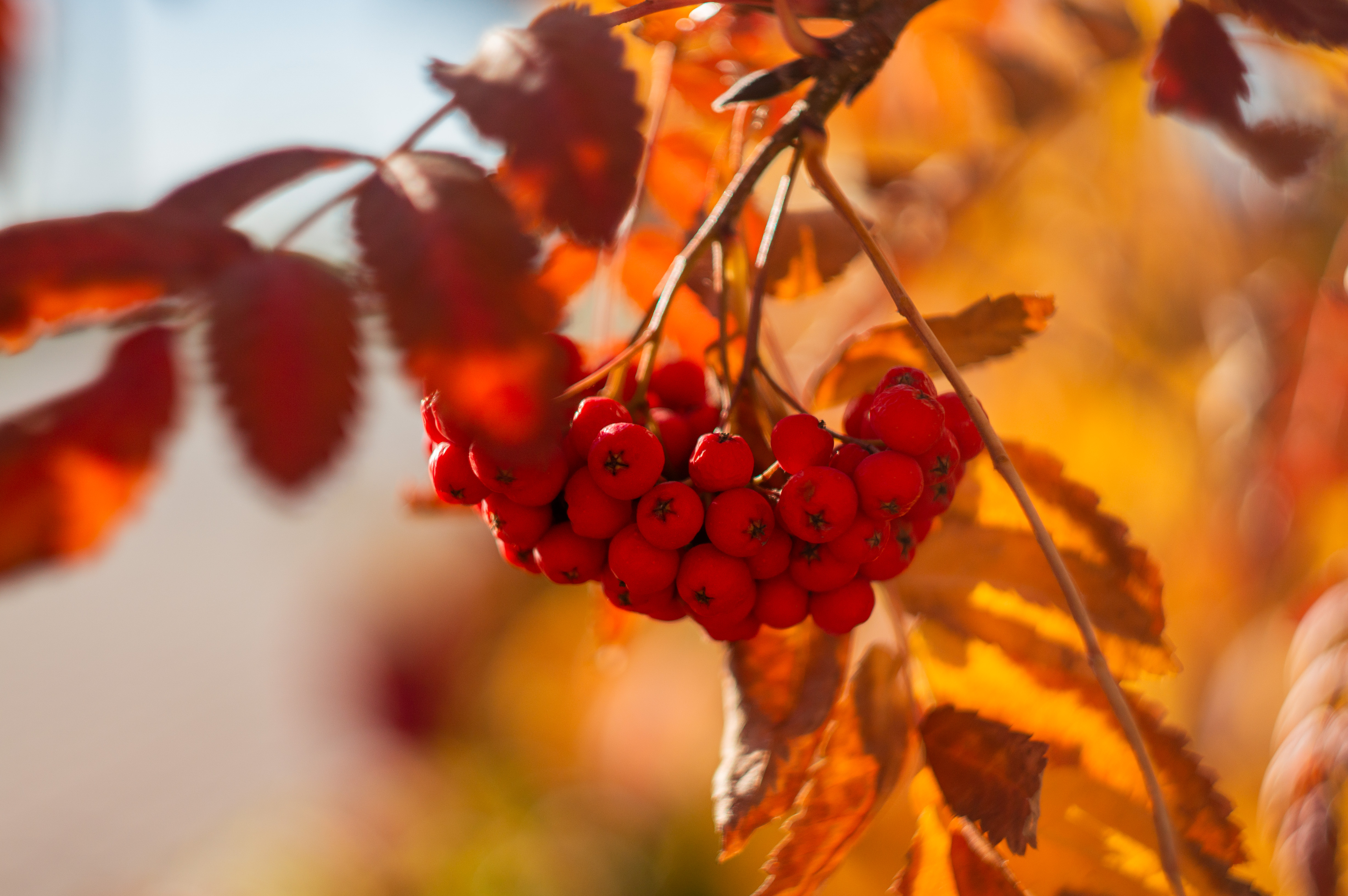 В Омской области прогнозируют потепление