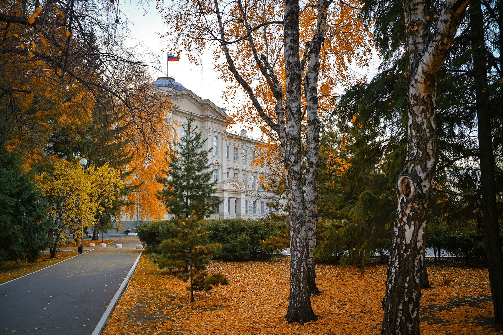 В Омской области внесут изменения в закон о выборах губернатора