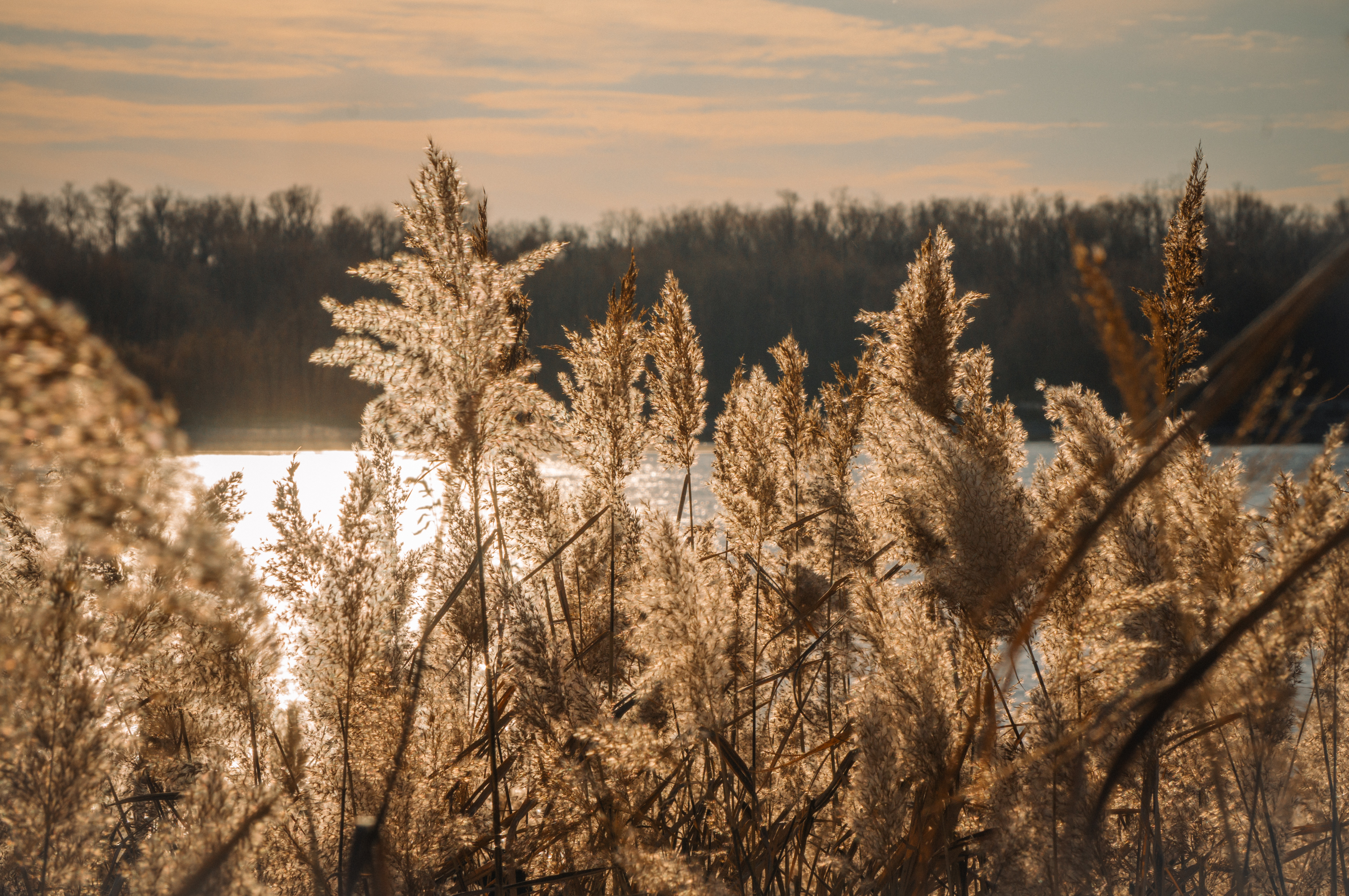 В Омской области в конце сентября ожидается жара до +28 градусов
