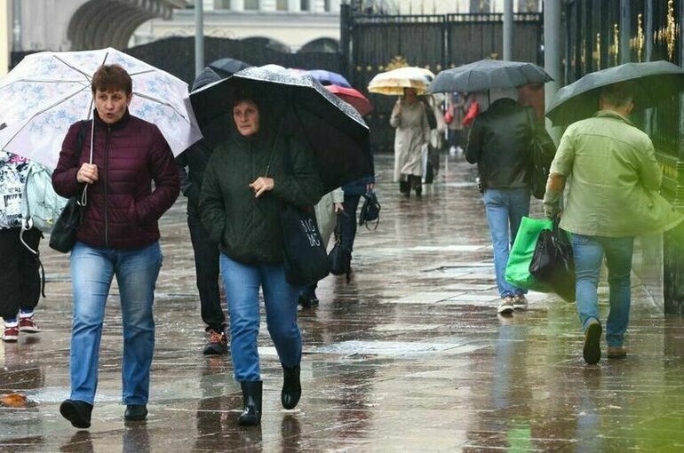 Омичам на новой неделе синоптики обещают туман и гололед