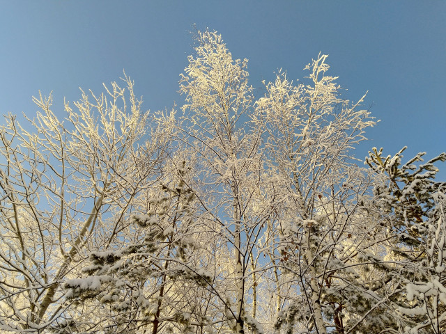 Омск накроет снегопад