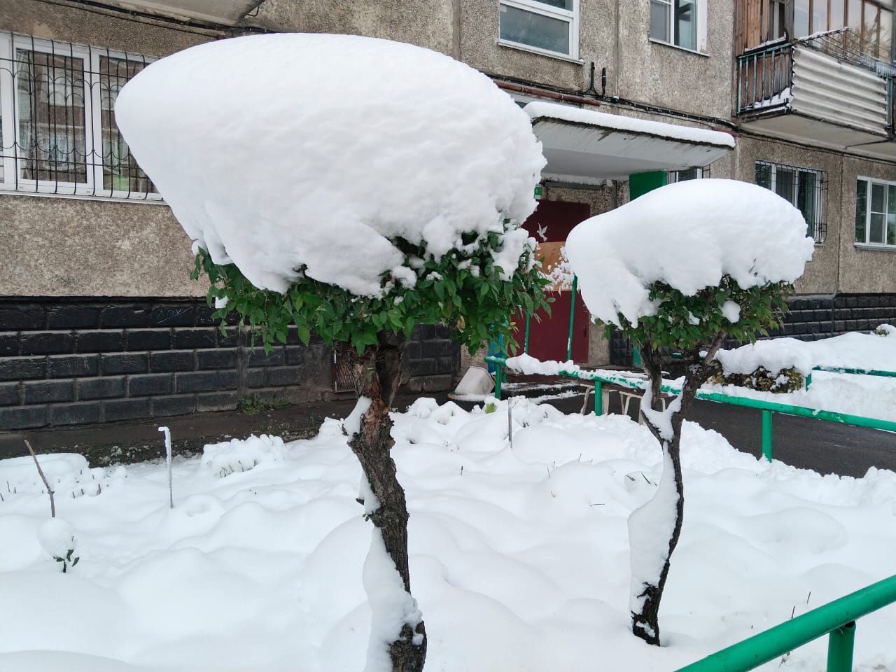 Омичей ожидает контрастная и аномальная зима