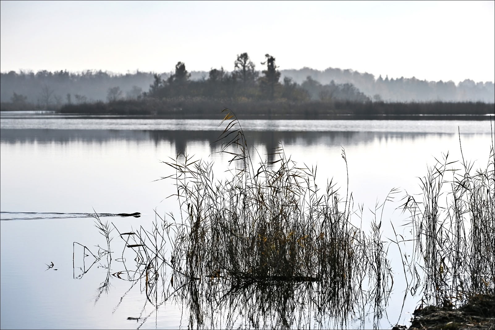 В Омске потеплеет до +11 градусов
