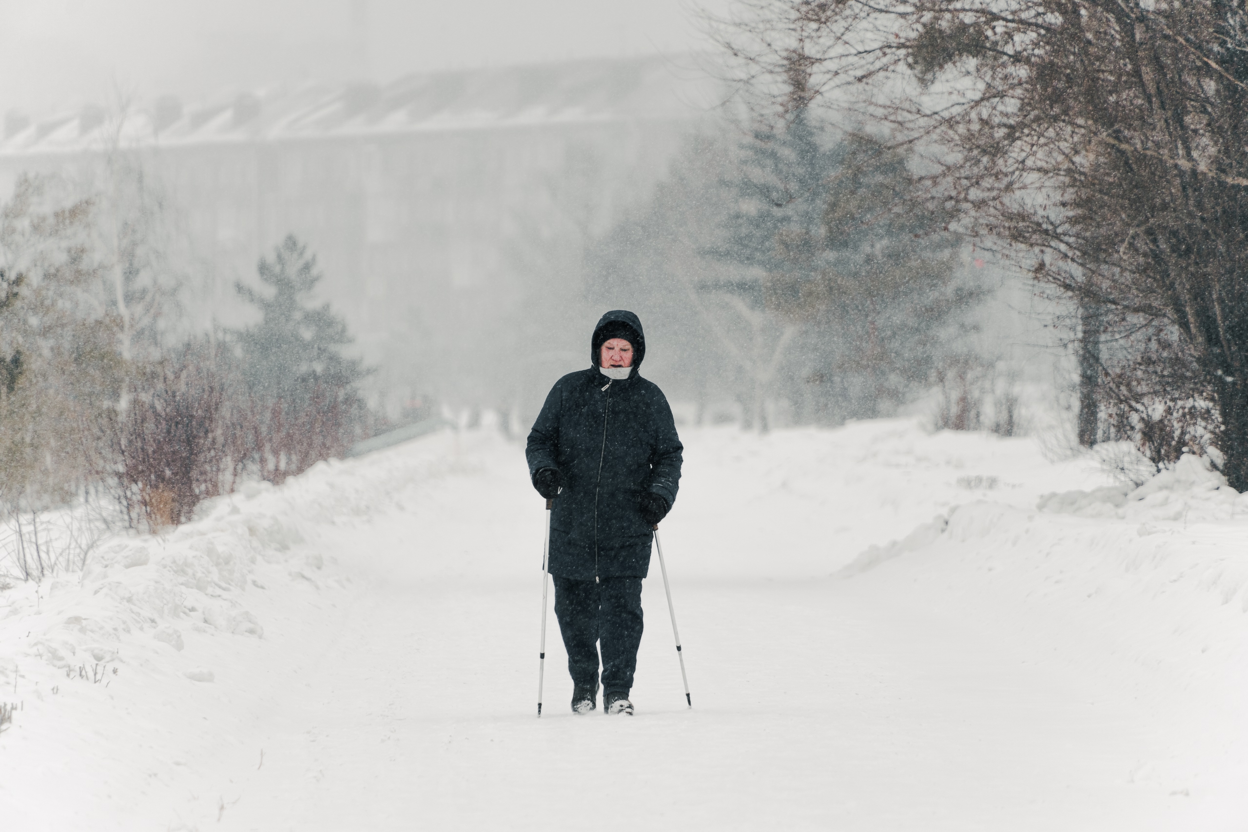 Омичей ждет классическая зима без экстремальных морозов