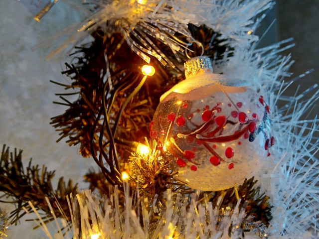 В Омске к Новому году украсят Городской сад 