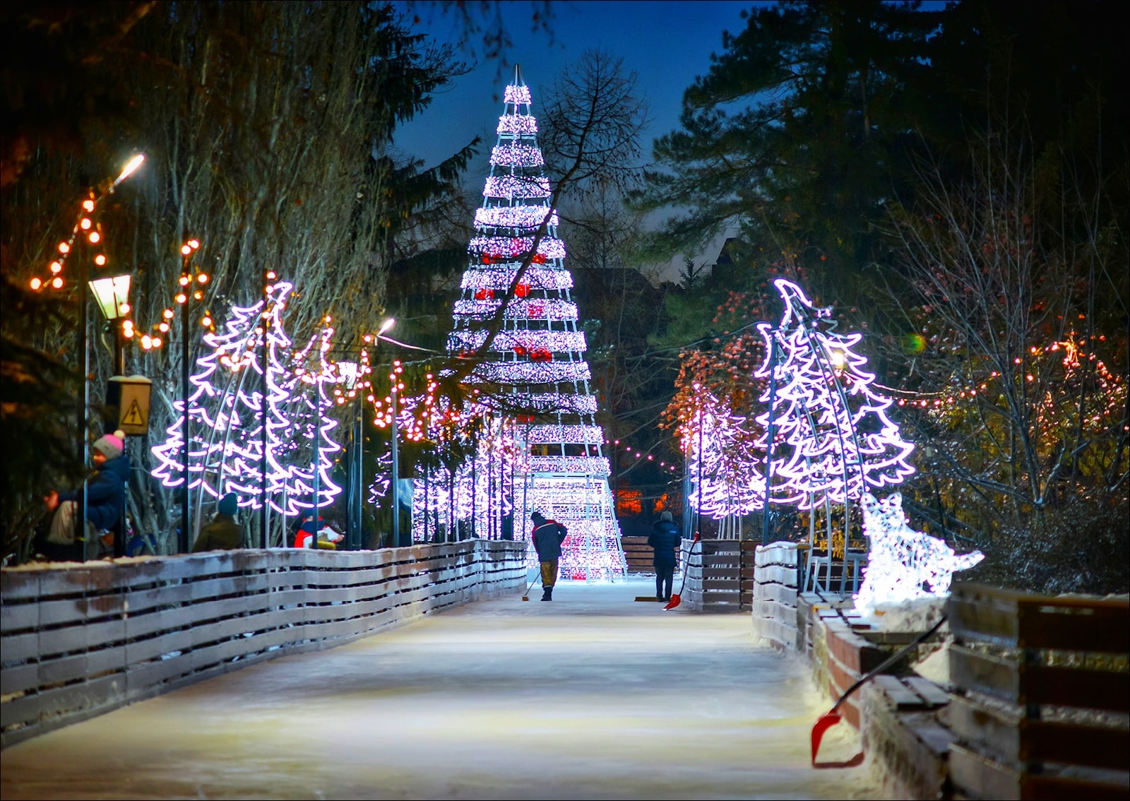 В Омске объявили о старте заливки катков