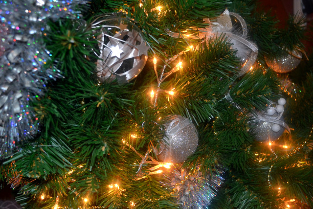 Ёлка: зелёная гостья из прошлого