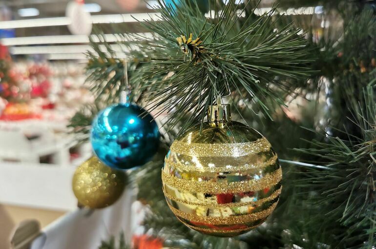 В России предлагают запретить новогодние корпоративы из-за угрозы традиционным ценностям