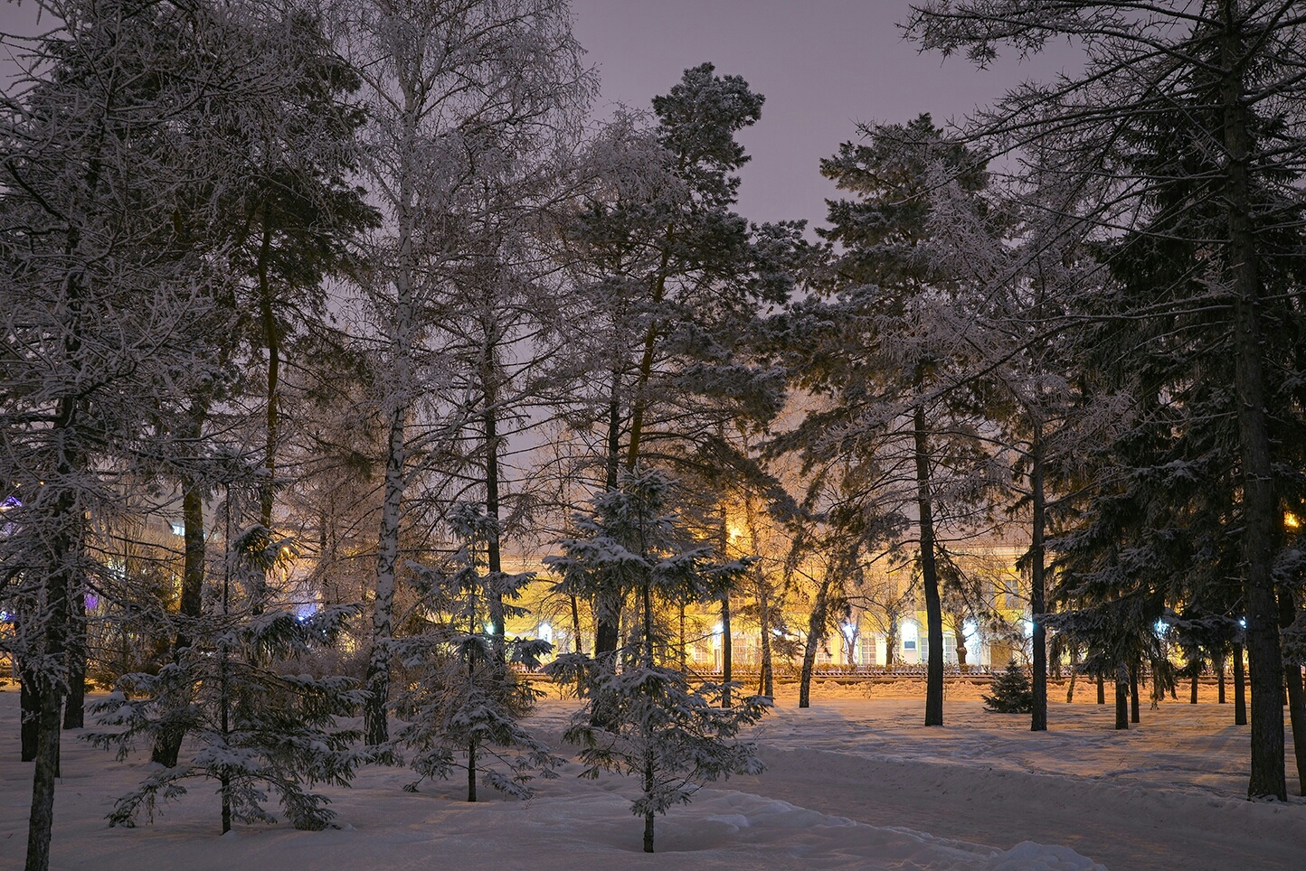 В Омске Новый год начнется с мокрого снега и дождя