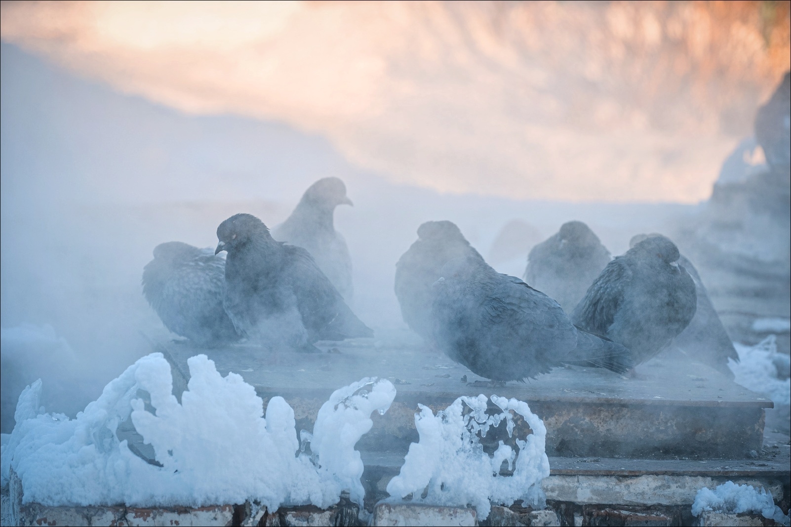 В Омской области объявлено штормовое предупреждение из-за морозов