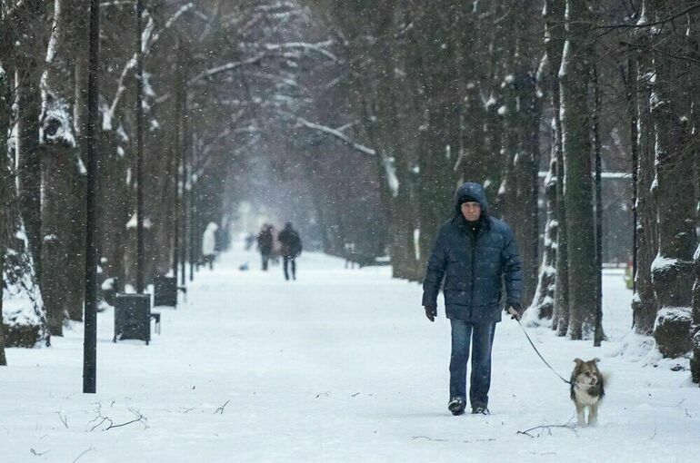 В Омскую область идет оттепель со снегопадом