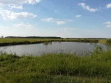 В Омской области утонули отец и его девятилетняя дочь