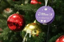 Новый год: как выбрать качественную красную икру 
