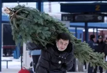 Ёлочка, зажгись
