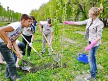 Коронавирус не помешает омичам заложить «Сад памяти»