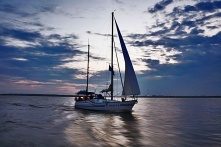 Коронавирус встал на пути кругосветной экспедиции яхты Сибирь