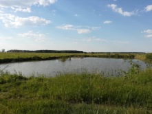 В Омской области утонули отец и его девятилетняя дочь