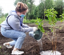 В Омске посадили «Сад памяти»
