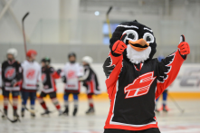 «Авангард» подготовил для своих болельщиков онлайн-квест