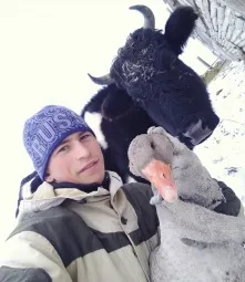 Омские чиновники ответили тиктокеру, который лазил на березу для обучения на дистанте 