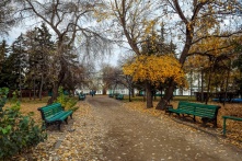 Куда сходить в Омске 12, 13, 14 и 15 октября.