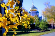 В Омской области наступило последнее в году бабье лето