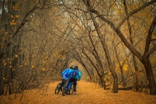 В Омск придёт кратковременное тепло