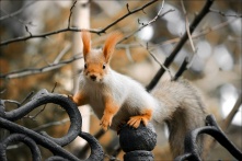 Выше нормы: синоптики анонсировали очередное потепление