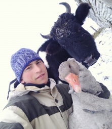 Омские чиновники ответили тиктокеру, который лазил на березу для обучения на дистанте 