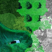 В Омске запускают конкурс, посвященный защите русского леса