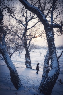 Омск покидают морозы