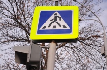 В Омске внедорожник сбил женщину с детьми