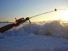 Ловись, рыбка