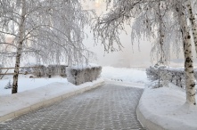 В Омск вместе с теплом придут снег и метель