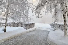 В Омск вместе с теплом придут снег и метель