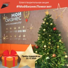 В Омске стартует предновогодняя акция #МойБизнесПомогает 