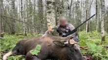 Россияне просят Путина остановить «охотничью вакханалию»