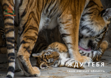 Омичам на открытии турсезона представят экскурсию на электросамокатах