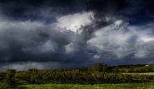 На Омск надвигаются ливни и сильный ветер