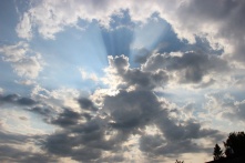 В Омске до конца недели будет дождь и жара