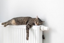 В Омске отопительный сезон начнется 16 сентября