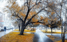 В Омске ожидается сентябрьский снег и похолодание до -3 градусов