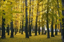 Зона похолодания: осень начинает превращаться в зиму