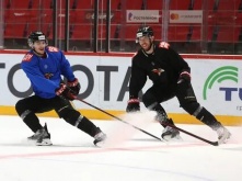 «Авангард» одержал победу над «Витязем»