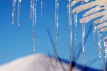 Весна наступит: в Омске потеплеет до -5 градусов