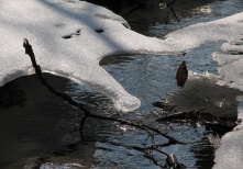 Из холода в жару: в Омске потеплеет до +25 градусов