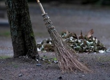 Социологи: треть омичей готова работать вместо мигрантов