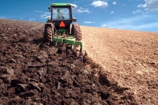 Синоптики пообещали аграриям теплый май, июнь, июль и дождливый август