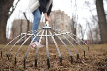 Неделя с чистоты: в городе стартует неделя благоустройства